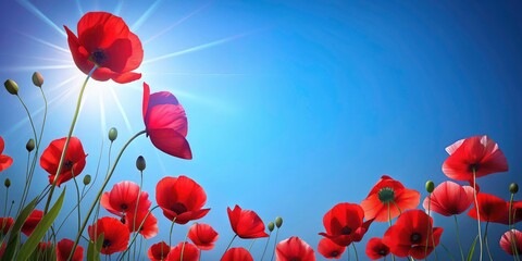 Memorial Day Poppy Tribute: Blue Sky Vertical Banner, Commemorative Design, Patriotic Image, Remembrance Day, Red Poppies Background