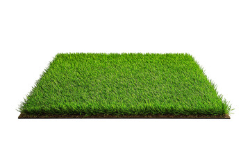 Clean grass field isolated on white background, ideal for fresh outdoor backgrounds and eco campaigns