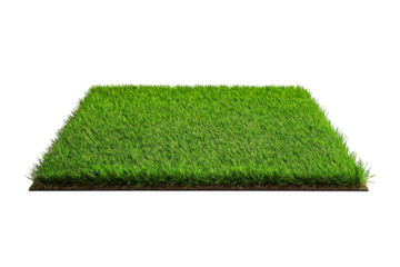 Clean grass field isolated on white background, ideal for fresh outdoor backgrounds and eco campaigns