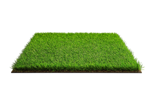 Clean grass field isolated on white background, ideal for fresh outdoor backgrounds and eco campaigns