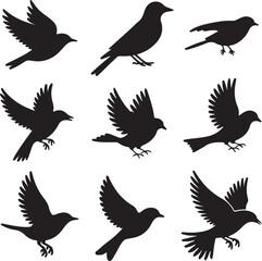 Black silhouette bird set collection depicting various flying and perched bird positions