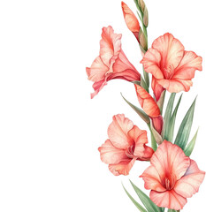 Gladiolus Watercolor Art Painting Illustration