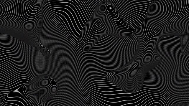Black and white abstract wavy and curvy lines pattern seamless loop copy space dark background animation.