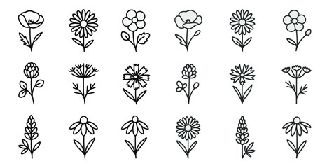 Black and white floral outlines for botanical design and nature projects