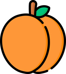 apricot illustration on a white background       
