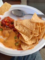 A white plate featuring a generous serving of crispy tortilla chips alongside a vibrant, chunky salsa and creamy, melted cheese dip.