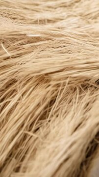 Close-up of dried raffia fibers showing natural textures and warm beige tones perfect for background and design elements