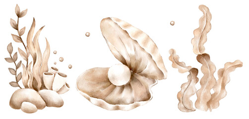 Watercolor painting of an open oyster shell containing a pearl, accompanied by seaweed, coral, and rocks on a white background.