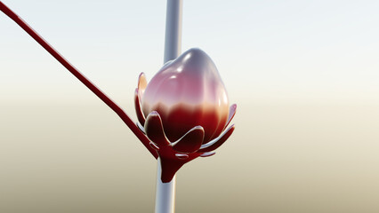 rosella fruit tree 3d rendered image illustration