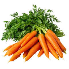 Fresh carrots bunch isolated on transparent background