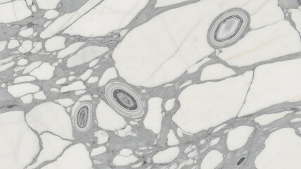 Full-frame 2D slab of Arabescato marble with circular grey swirls on a white body, polished surface.