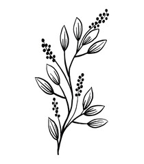 Elegant Botanical Line Art Simple Floral Branch Illustration