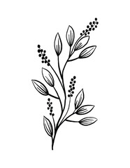 Elegant Black and White Floral Branch Illustration