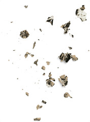 Modern Minimalist Scattered Metallic Foil Flakes on White Background