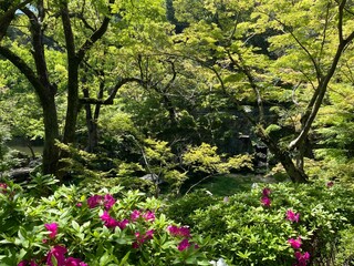 和歌山城の庭園
