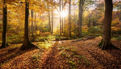 serene autumn forest with golden leaves and soft sunlight filtering through
