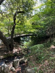 和歌山城の庭園