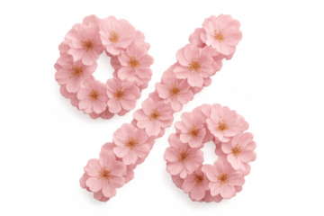 Percentage symbol made of pink cherry blossoms on transparent background