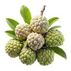 Close up of multiple Sugar Apples or Sweetsops fruit with green leaves Transparent PNG