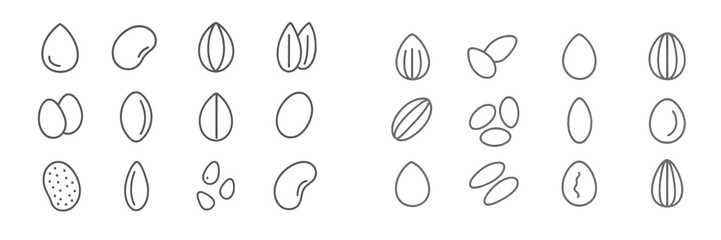 Different types of beans and seeds displayed in a neat arrangement on a light background