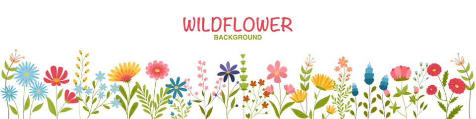 Vector seamless background with wild flowers. Bright floral romantic meadow flowers in cottagecore garden style for manor and farmhouse background. Vector illustration for greeting card, poster.