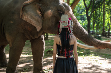Fototapeta premium Back view female Akha hilltribe looking at elephant in elephant conservation