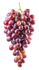 Fototapeta premium Fresh ripe red grape bunch isolated on a bright white background studio shot Transparent PNG