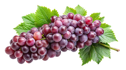 Fototapeta premium Beautiful bunch of ripe red grapes with fresh green leaves isolated Transparent PNG