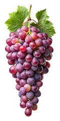 Fototapeta premium Luscious bunch of red grapes with green leaves on a white background Transparent PNG
