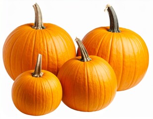 Pumpkins  for Autumn and Halloween Designs