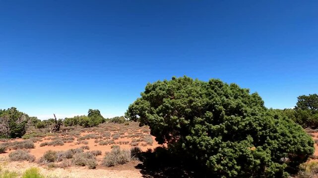 Utah Driving 1823 Canyonland National Park