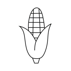 Outline Sketch of Corn on the Cob with Husk