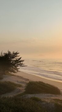Florianopolis in Santa Catarina during a wonderful sunrise. Mo&ccedil;ambique Beach in aerial view, vertical video.