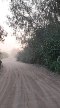 Florianopolis in Santa Catarina during a wonderful sunrise. Mo&ccedil;ambique Beach in aerial view, vertical video.