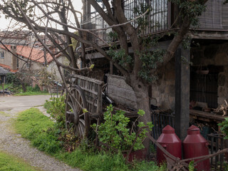 Old wooden cart abandoned under a tree in a rural village