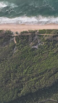 Florianopolis in Santa Catarina during a wonderful sunrise. Mo&ccedil;ambique Beach in aerial view, vertical video.
