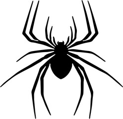 spider on a white background