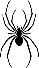 spider on a white background