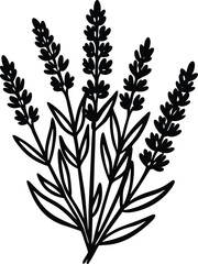 laurel wreath vector illustration