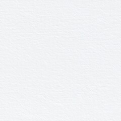 White Subtle Paper Texture