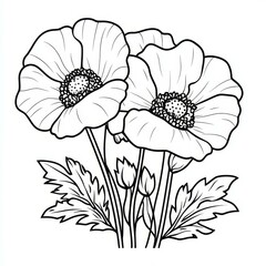 Two Opium Poppy Flowers with Leaves Hand Drawn Sketch Art Illustration for Coloring Book Project
