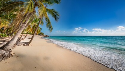 Obraz premium a tranquil beach scene featuring palm trees swaying gently near the shore inviting visitors to enjoy sunlight sand and relaxation while providing a glimpse of serene coastal beauty