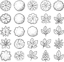 Transparent PNG available
Tree top view, leaf icon set, plant illustration set for architectural design. Tree top view vector collection features diverse tree and leaf sketches for landscape planning