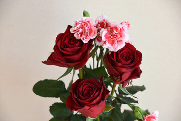 Fototapeta premium 薔薇とカーネーション