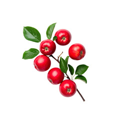 Red apples branch with green leaves isolated on food on transparent background