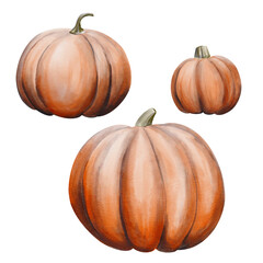 Set of orange ripe pumpkins. Autumn harvest. Halloween vegetables. Kitchen decor. Watercolor illustration isolated from background. Hand drawing.