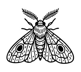 Hawk Moth Doodle - Order Lepidoptera
