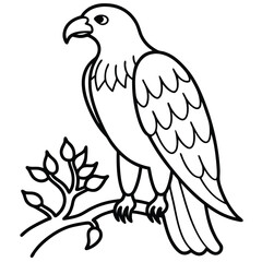 Obraz premium beautiful eagle bird vector illustration