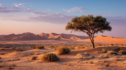 Single tree in golden desert landscape with distant mountains and soft evening light under calm sky