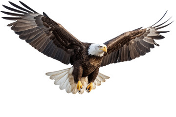 Obraz premium Majestic Bald Eagle in Flight: A Powerful Symbol of Freedom isolated on transparent background png